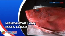 Nikmatnya Menyantap...
