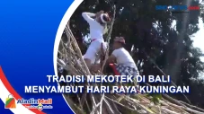 Tradisi Mekotek di Bali...