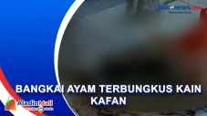 Warga Probolinggo Geger...