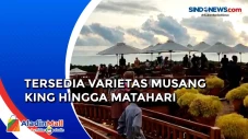 Menikmati Wisata Bukit...