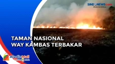 Diduga Ulah Pemburu...