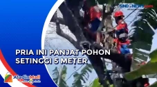 Berhalusinasi Takut...