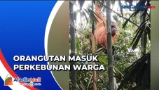 Hindari Konflik dengan...