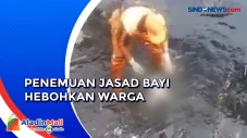 Penemuan Jasad Bayi...