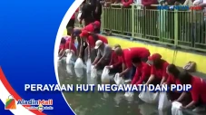 Perayaan HUT Megawati...