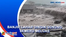 Kebun Sengon Warga Rusak...