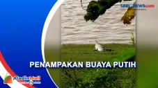Geger! Warga Taman Rajo...
