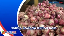Cuaca Ekstrem, Harga...