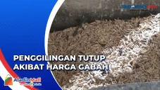 Sejumlah Penggilingan...
