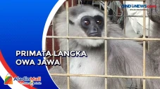 BKSDA Serang Terima...