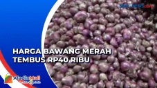 Harga Bawang Merah Merangkak...
