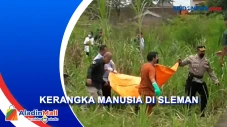 Warga Sleman Temukan...