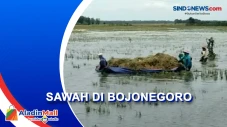 Banjir Rendam Ratusan...
