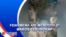 Sempat Viral, Fenomena...