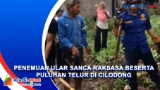 Heboh Penemuan Ular...