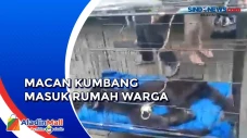 Sakit dan Penuh Luka,...