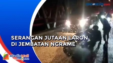 Serangan Jutaan Laron...