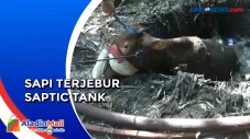Detik-detik Evakuasi...