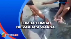 Terdampar di Pantai...