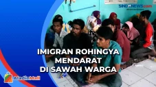 Puluhan Imigran Rohingya...
