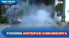 Merebak Kasus Chikungunya...