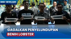 TNI AL Gagalkan Penyelundupan...
