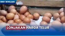 Harga Telur Ayam Melonjak...