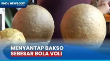 Bikin Kenyang! Menyantap...