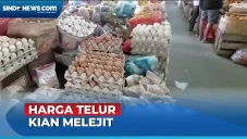 Harga Telur Ayam Ukuran...