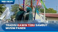 Melihat Tradisi Kawin...