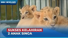 Kabar Gembira! 2 Anak...