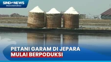 Cuaca Panas, Petani...