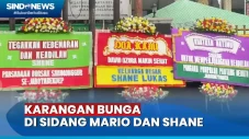 Mario dan Shane Jalani...