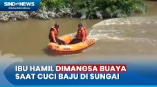 Ibu Hamil di Sumut Dimangsa...