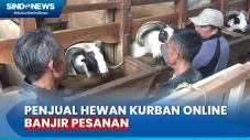 Jelang Idul Adha, Penjual...