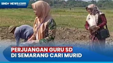Guru SD di Semarang...