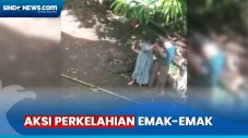 Adu Jotos Emak-Emak...