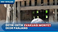 Begini Penampakan Proses...