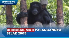 Sulitnya Mencari Pasangan...