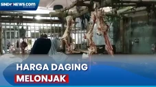 Jelang Iduladha, Harga...