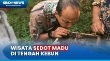 Serunya Wisata Sedot...