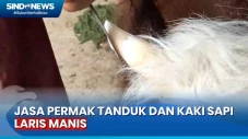 Jelang Hari Raya Kurban,...
