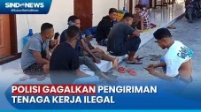 Polisi Gagalkan Pengiriman...