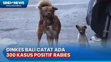 Dinkes Bali Catat Ada...