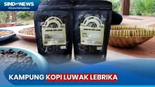 Berkunjung ke Kampung...
