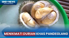 Sensasi Menikmati Durian...