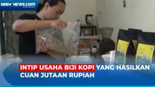 Pengusaha Biji Kopi...