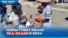 Harga Tomat Rp1.000...