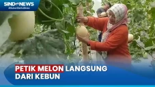 Rekomendasi Wisata,...