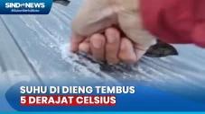 Cuaca Dingin! Suhu Dieng...